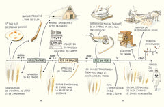 Cultiver les céréales
