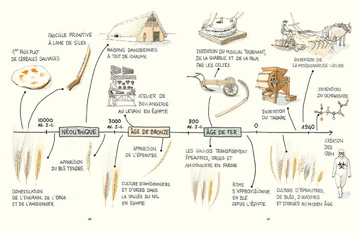Cultiver les céréales