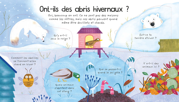 Où vont les animaux en hiver ?