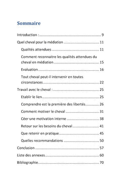 Travail avec le cheval en médiation