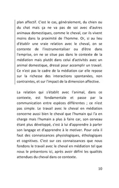 Travail avec le cheval en médiation