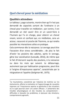 Travail avec le cheval en médiation