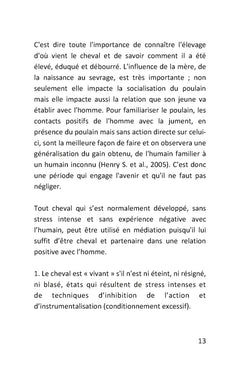 Travail avec le cheval en médiation