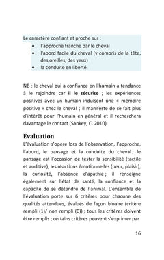 Travail avec le cheval en médiation