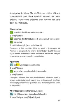 Travail avec le cheval en médiation