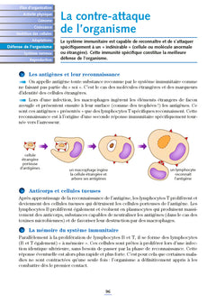 Le Corps humain