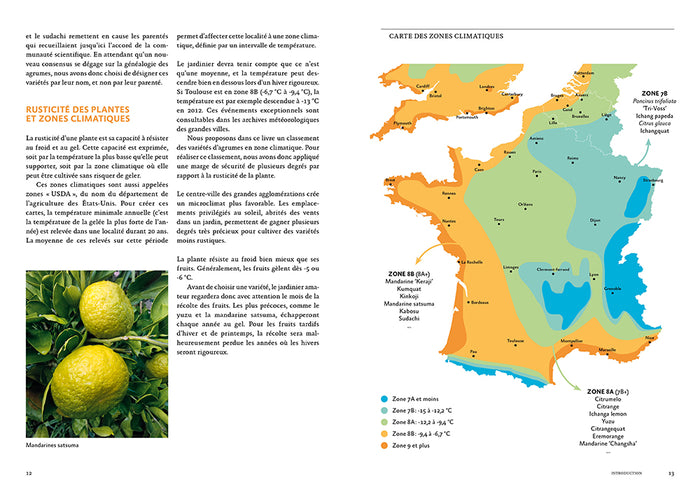 Agrumes résistant au froid