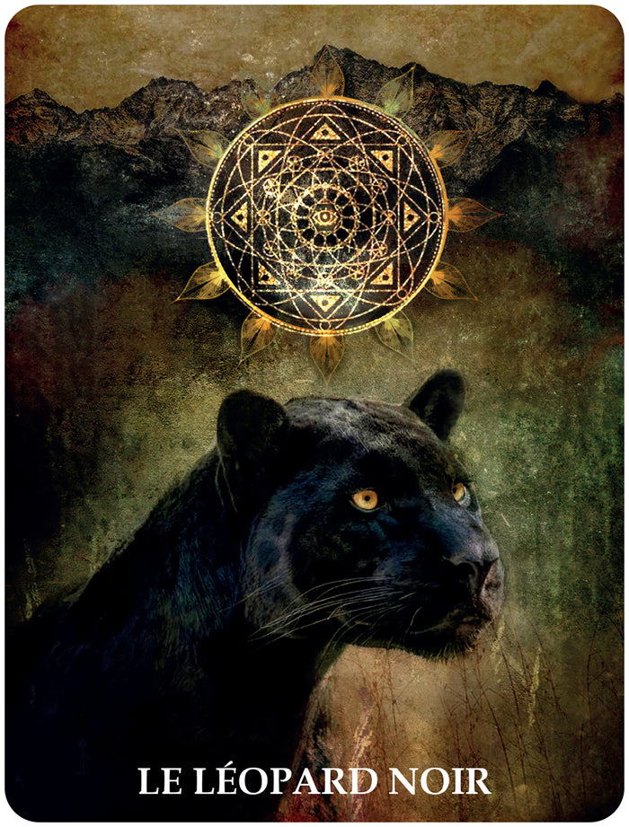 60 cartes de communication animale