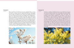 Semainier 2025 - La nature au fil des saisons