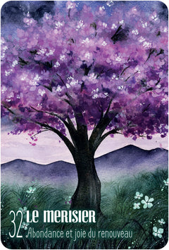 S'ouvrir à l'énergie des arbres