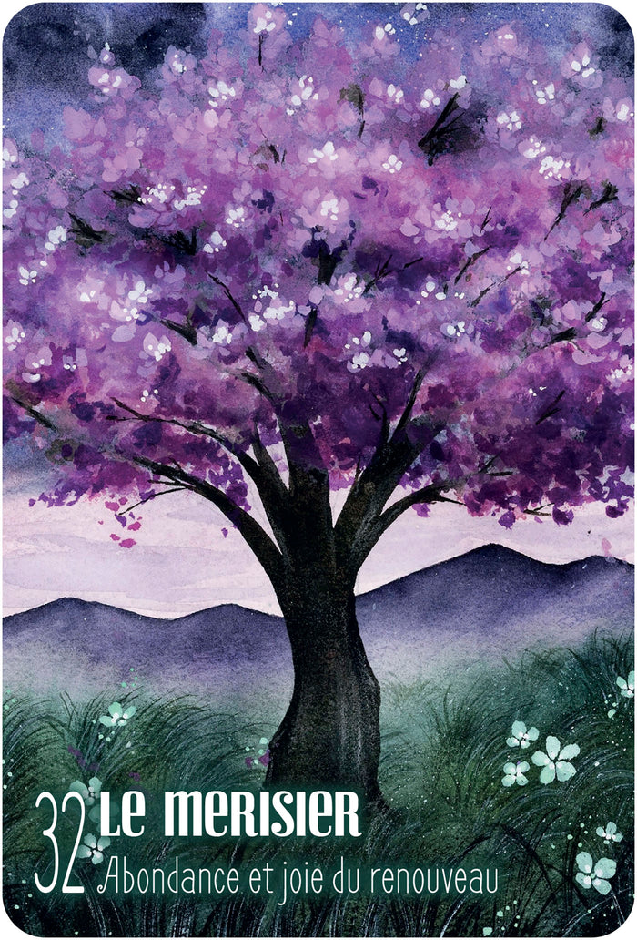 S'ouvrir à l'énergie des arbres