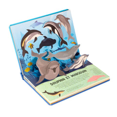 La nature en pop-up - Baleines et dauphins