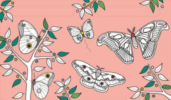 Les papillons