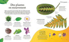 L'Anthologie insolite des plantes - Fleurs, arbres, graines et autres merveilles