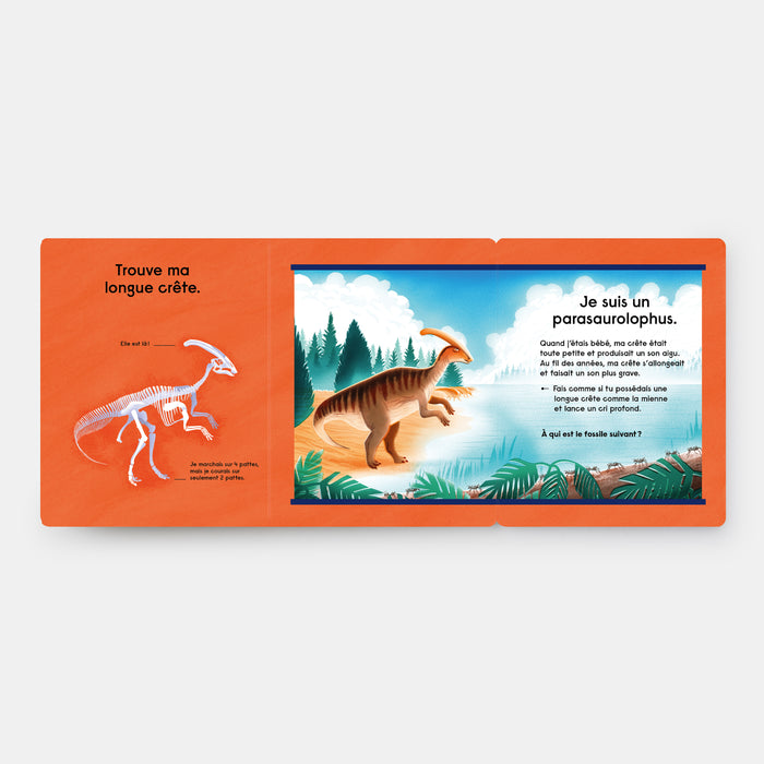 Quel est ce Dinosaure ?