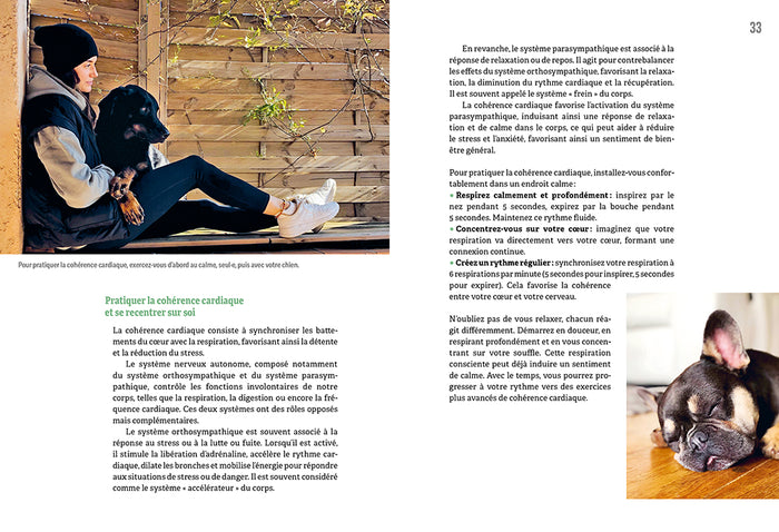 Construire une vraie relation avec son chien