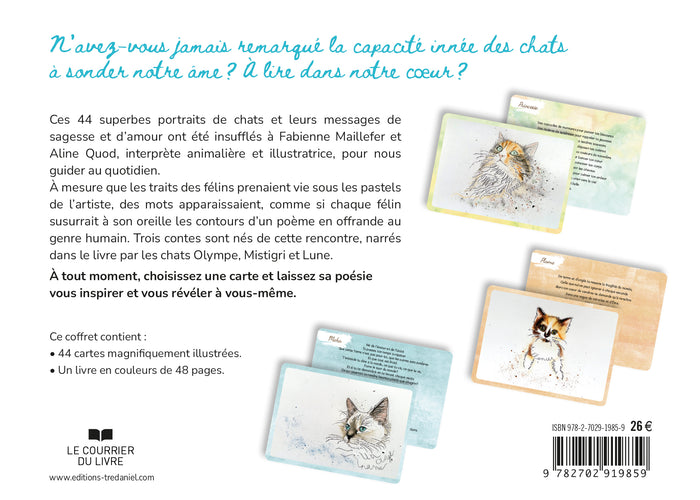 Méditations de chats