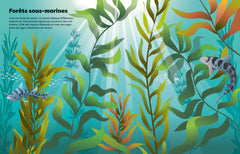 Les requins - Mes super autocollants