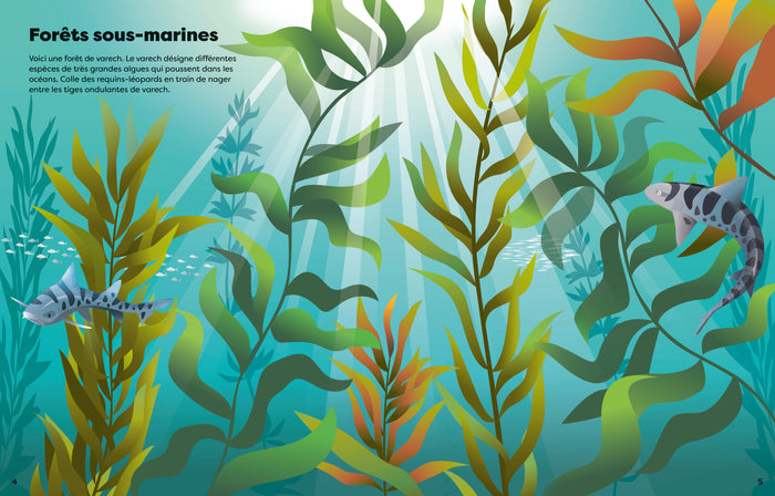 Les requins - Mes super autocollants