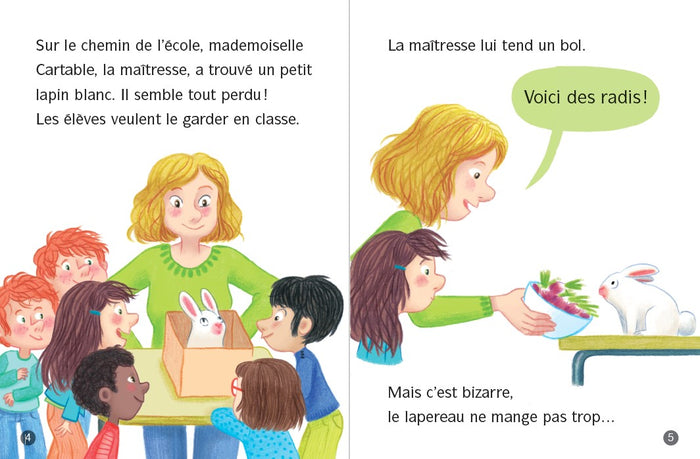 Les Animaux de Lou: Reviens, Petit Lapin !