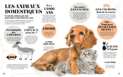 Apprendre en 5 minutes - Nature
