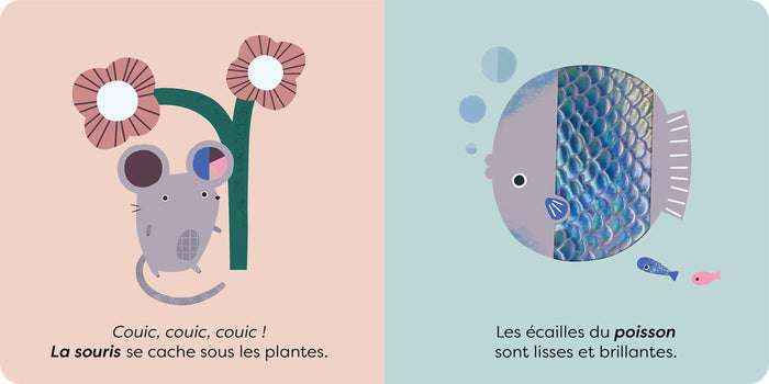 Touche et découvre - Les animaux