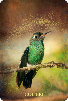 L'Oracle des Animaux de Lumière
