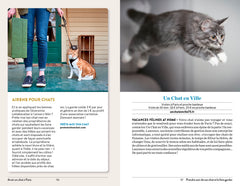 Avoir un chat à Paris - Santé, toilettage, pattucure, cat-sitting et psy-chat-nalyse...