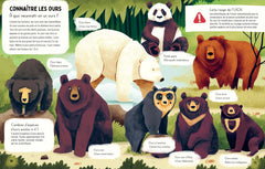 Les Ours font-ils caca dans les bois ?
