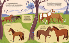 Chevaux