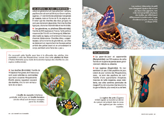 Les carnets du scarabée - Insectes