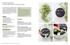 Le guide de la multiplication des plantes d'intérieur