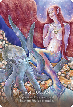 L'Oracle des cristaux chamaniques
