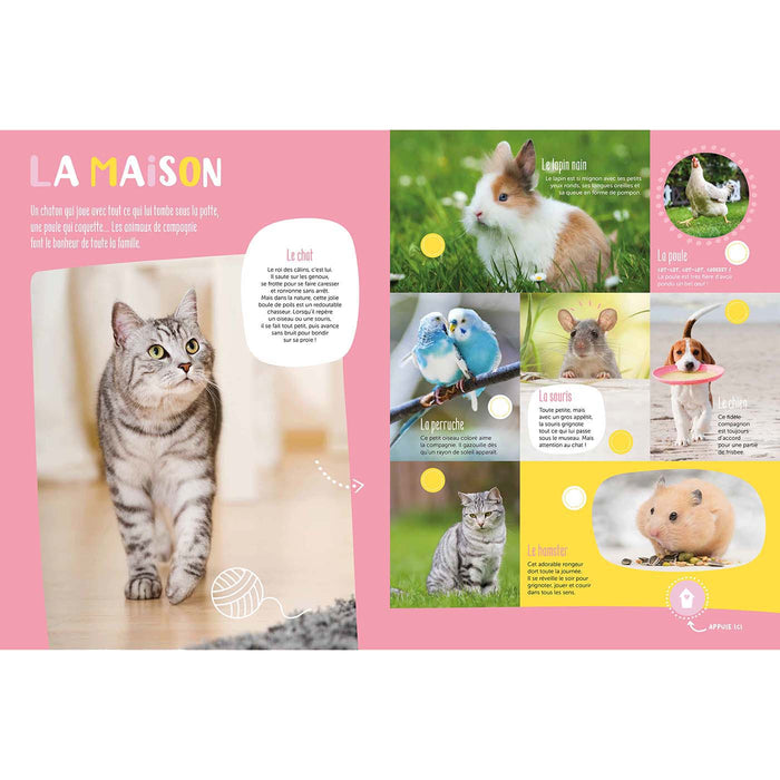 Mon grand livre sonore - Animaux