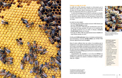 La ruche basse consommation d'énergie - Une révolution apicole