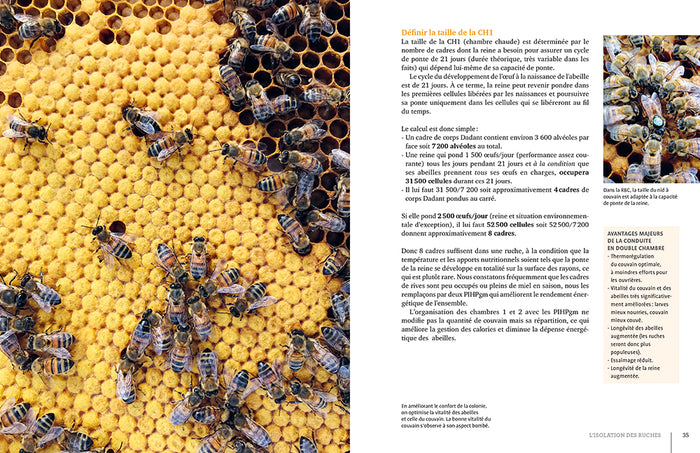 La ruche basse consommation d'énergie - Une révolution apicole