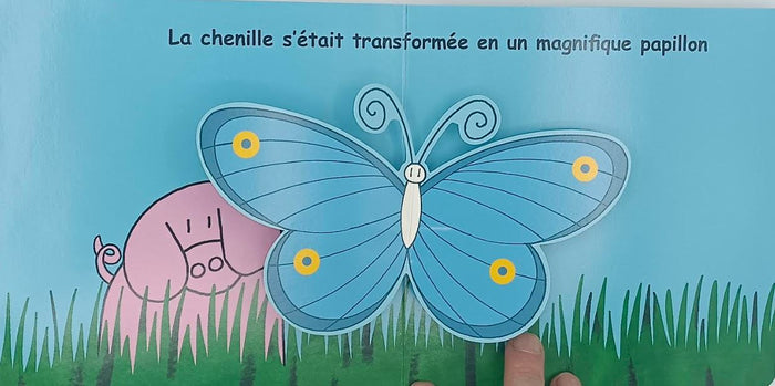 Qui a mangé mon amie la chenille ?