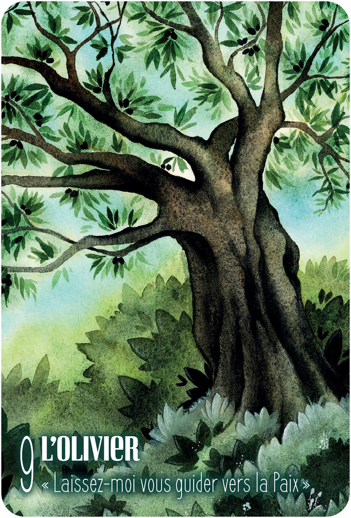 S'ouvrir à l'énergie des arbres