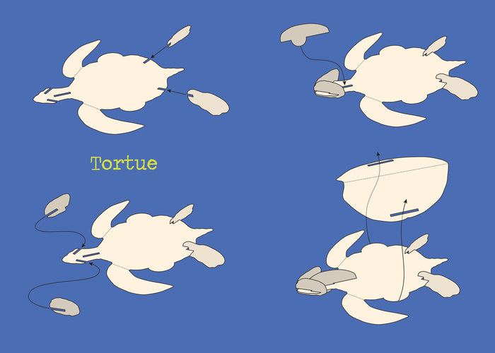 Construis en 3D - Papillons