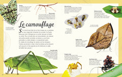 Anthologie illustrée des insectes étonnants et autres petites bêtes