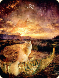 L'oracle initiatique des chats