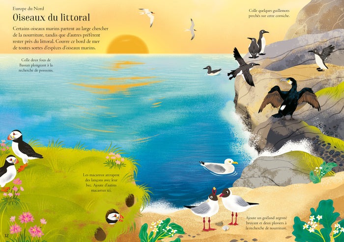 Les oiseaux - Mes petits autocollants