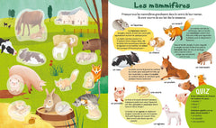 Mamans et bébés animaux