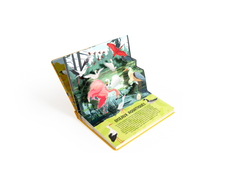 La nature en pop-up - Oiseaux