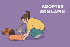Un lapin à la maison