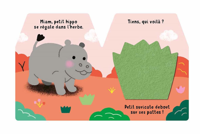 Cache-cache petit hippo