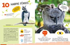 Le Top 10 des animaux les plus dangereux
