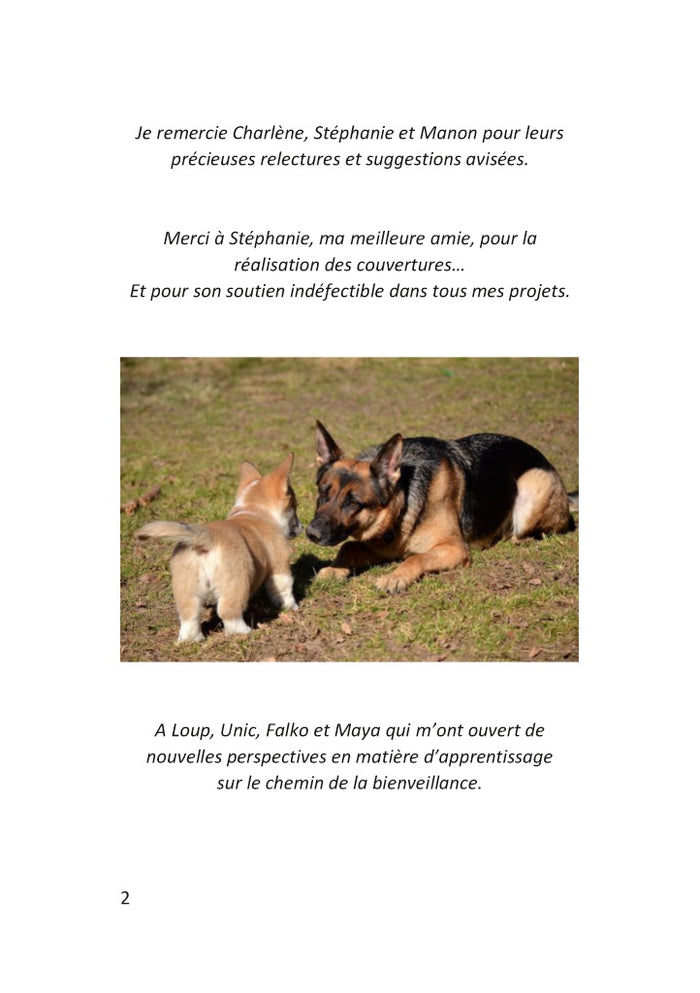 Démarrez de la bonne patte !