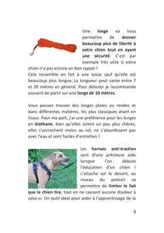 Démarrez de la bonne patte !