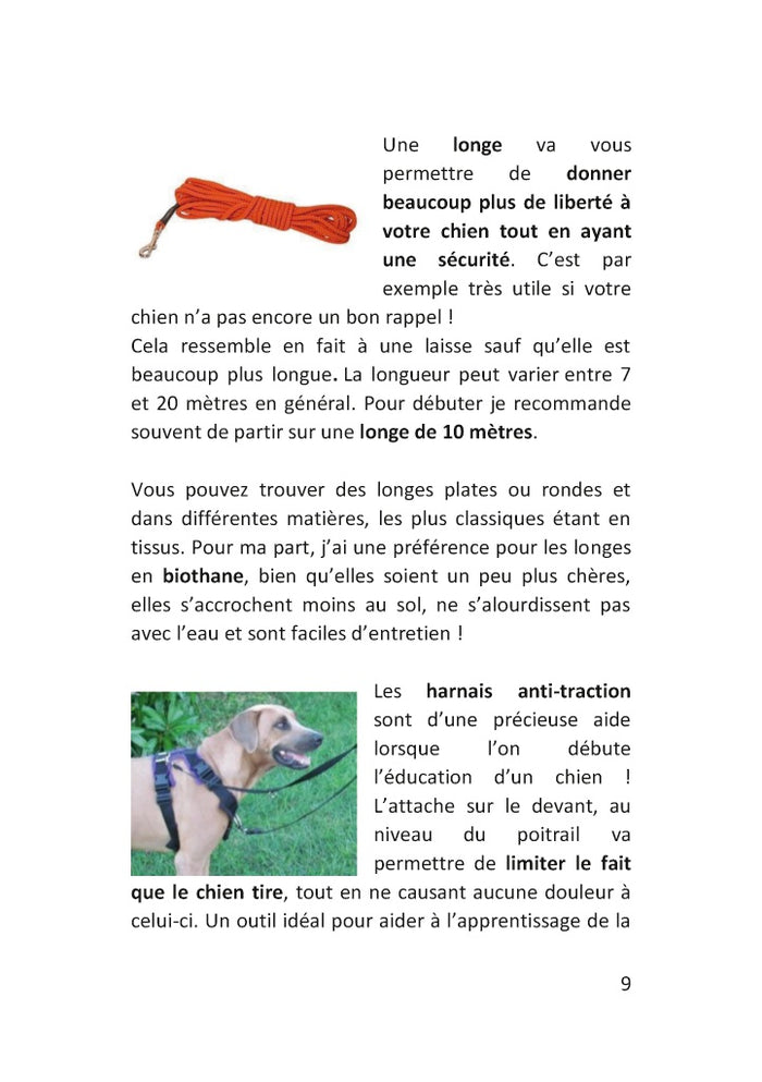 Démarrez de la bonne patte !